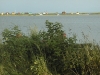 rf04_021.jpg