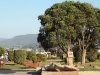 dscn8966
