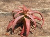 dscn0418