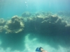 DCIM\100GOPRO