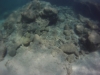 DCIM\100GOPRO
