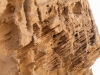 dscn0348