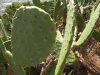 dscn0362