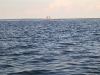 segelsommer_08_017.jpg