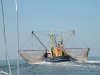 dscn7482