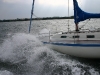 sommert_rn_2006_348.jpg